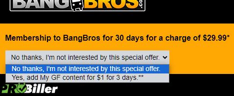 Bangbros Bundle