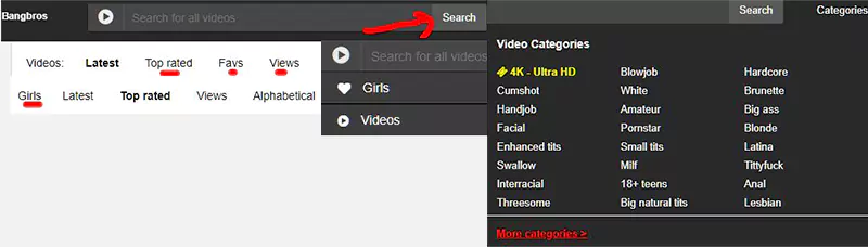 Bangbros Search Filters